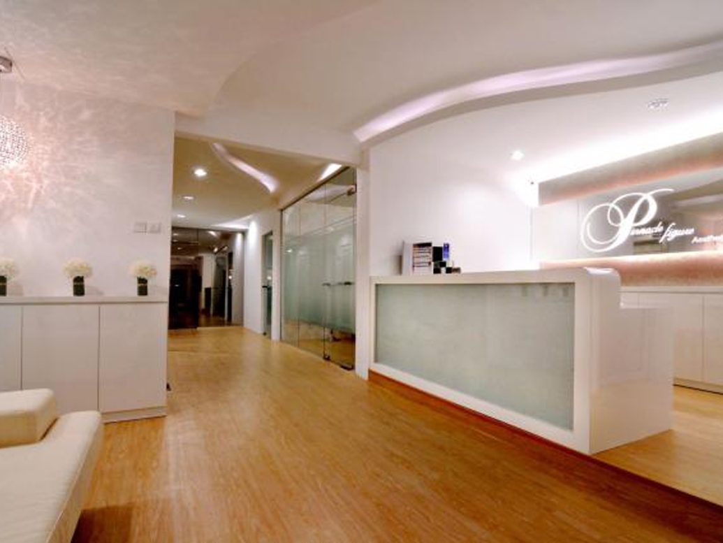 Pinnacle Figure Reception